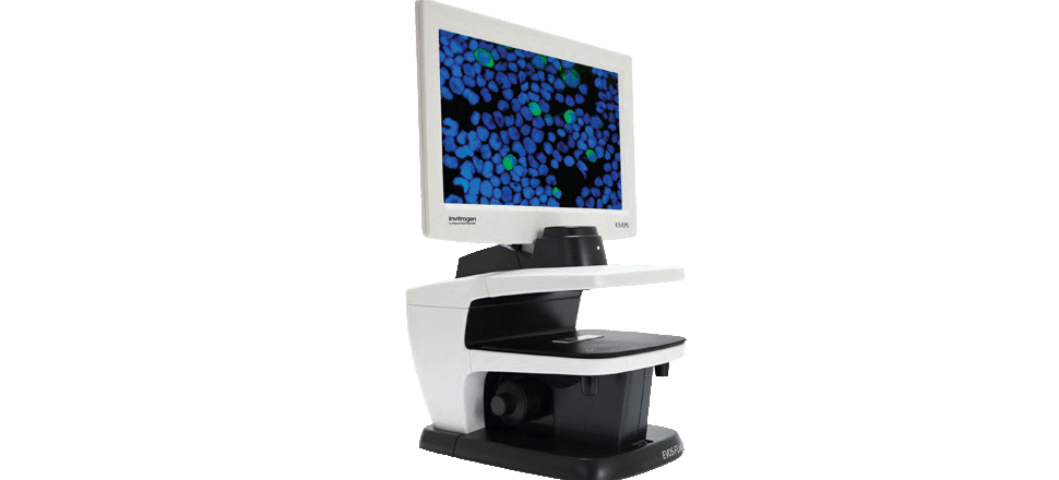 Cellular screening