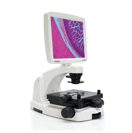 Fisherbrand™ Lame de microscope entièrement dépolie pour cytologie