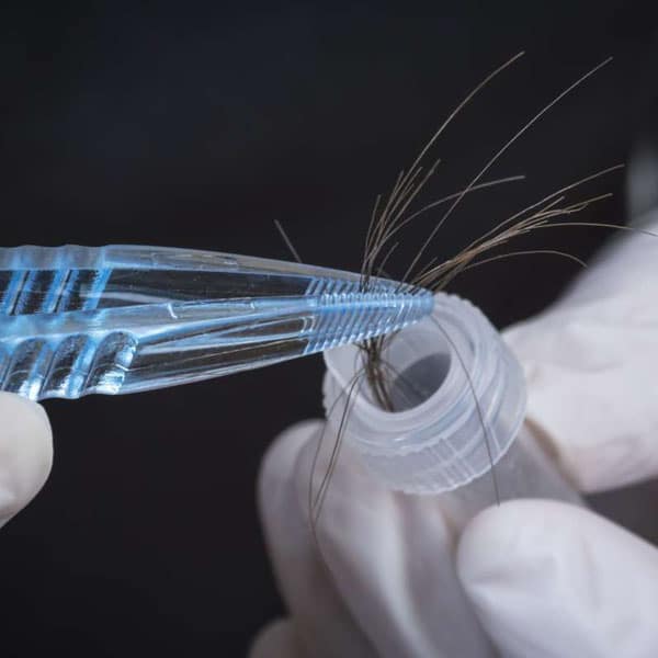 Analyseur forensic