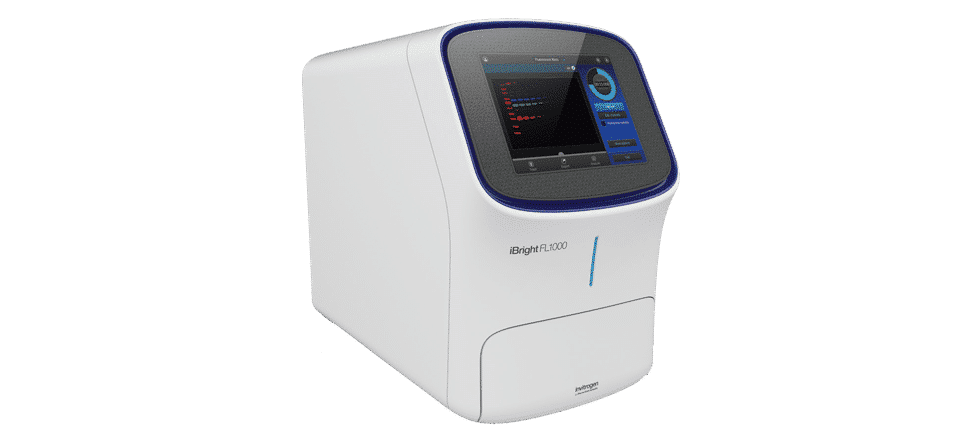 Western Blot imaging systems iBright