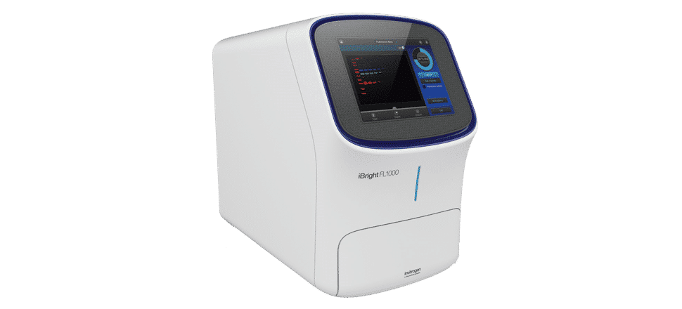 Systèmes d'imagerie Western Blot iBright