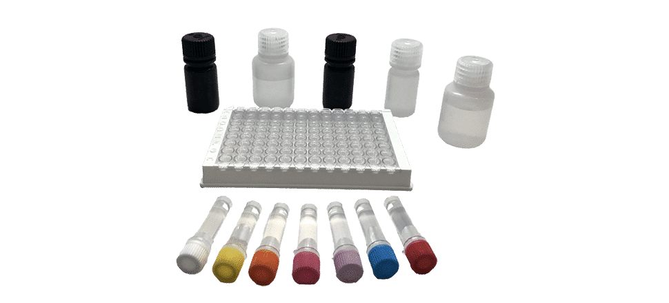 Kit de test ELISA Fluoroquinolone