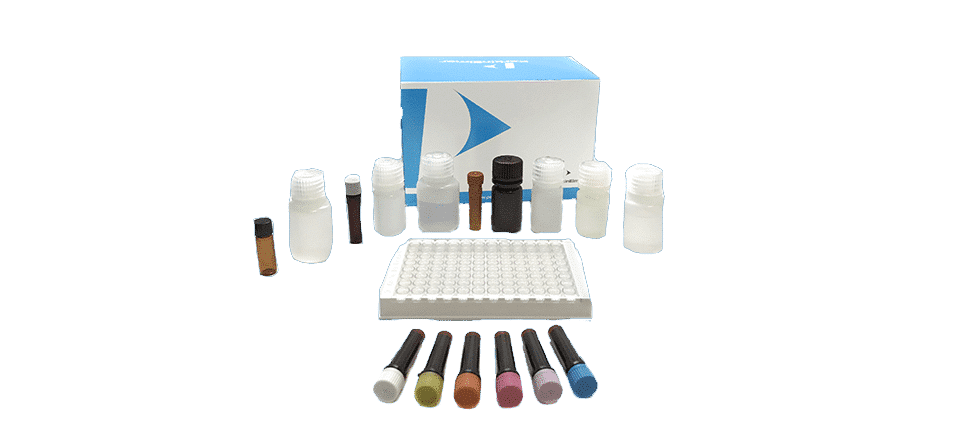 Kit de test Antibiotique Beta-Lactam